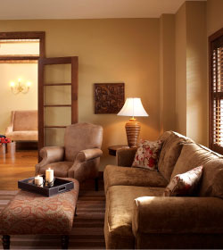 Living Room Design and Decor