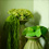 Interior Design Portfolio 5